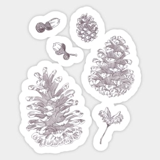 Pinecone Medley Sticker